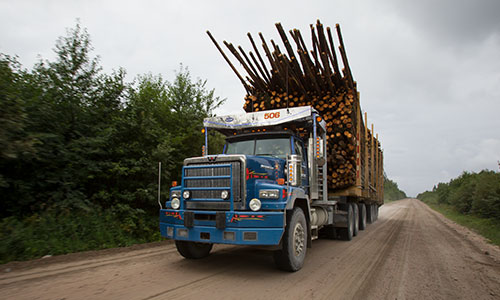 6900 Logging
